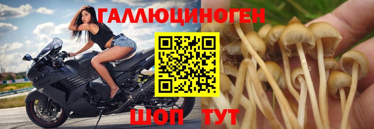 Псилоцибиновые грибы Magic Shrooms Ишим